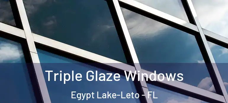 Triple Glaze Windows Egypt Lake-Leto - FL