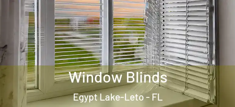 Window Blinds Egypt Lake-Leto - FL
