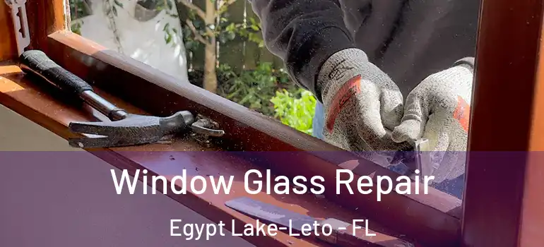 Window Glass Repair Egypt Lake-Leto - FL