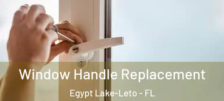 Window Handle Replacement Egypt Lake-Leto - FL