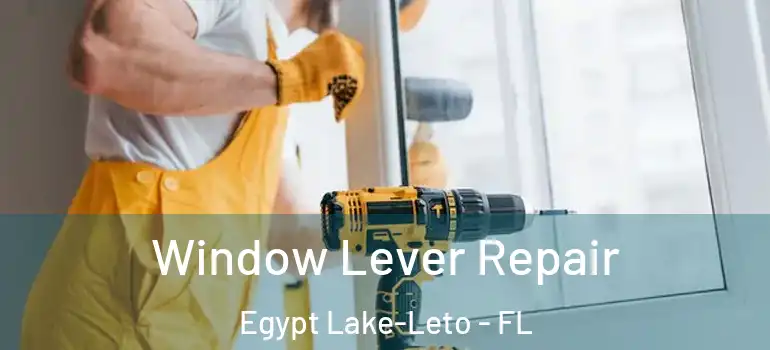  Window Lever Repair Egypt Lake-Leto - FL