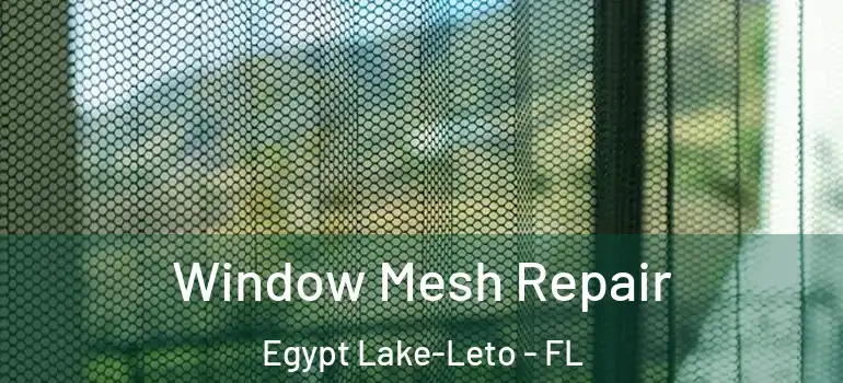 Window Mesh Repair Egypt Lake-Leto - FL