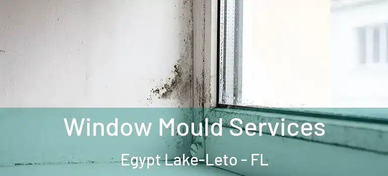 Window Mould Services Egypt Lake-Leto - FL