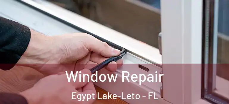 Window Repair Egypt Lake-Leto - FL