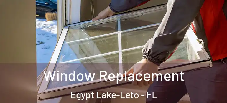  Window Replacement Egypt Lake-Leto - FL