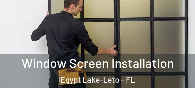 Window Screen Installation Egypt Lake-Leto - FL
