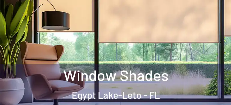  Window Shades Egypt Lake-Leto - FL