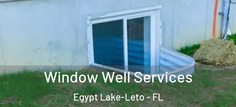 Window Well Services Egypt Lake-Leto - FL