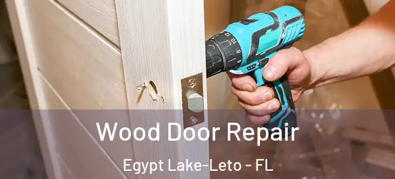 Wood Door Repair Egypt Lake-Leto - FL